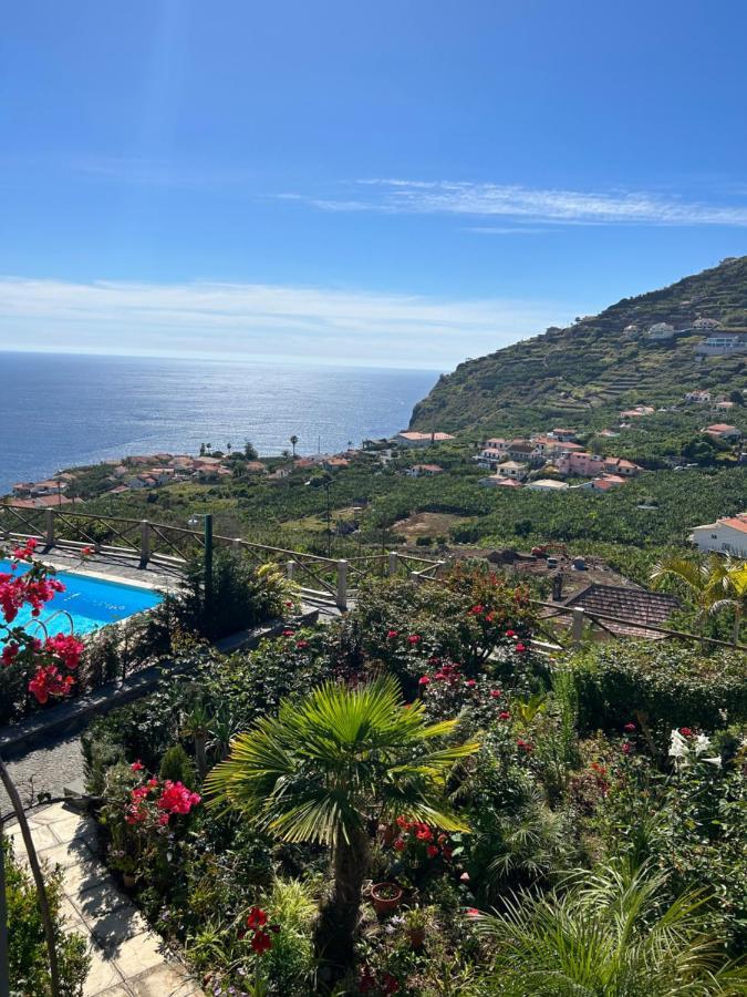Tropical Garden Dom wakacyjny Arco da Calheta (Madeira)
