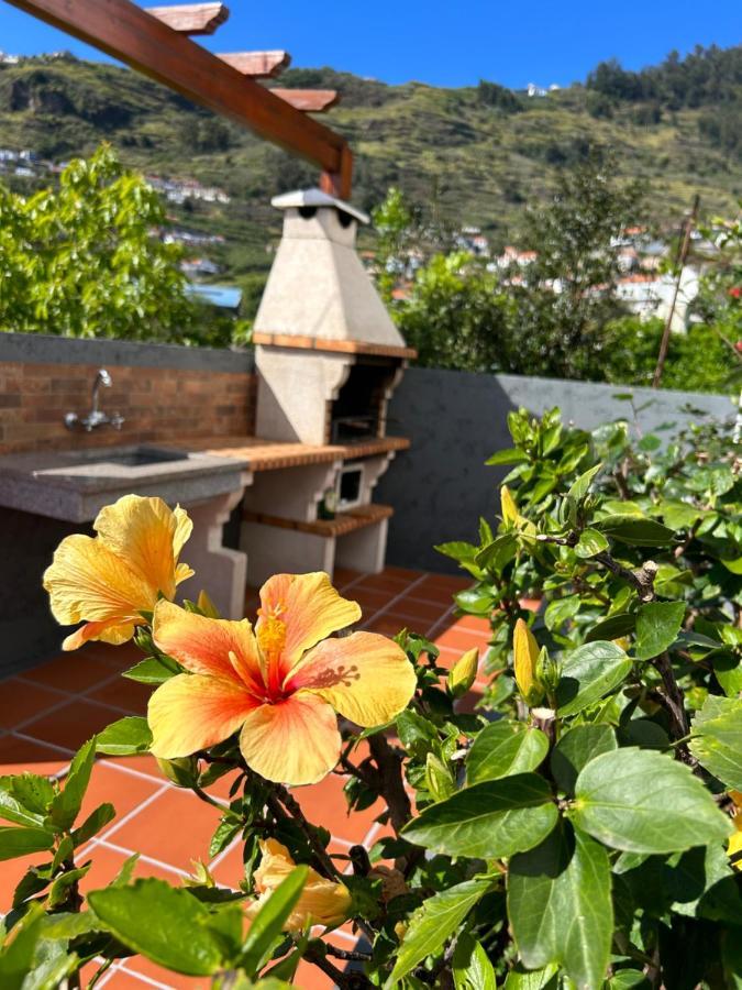 Dom wakacyjny Tropical Garden Arco da Calheta (Madeira)